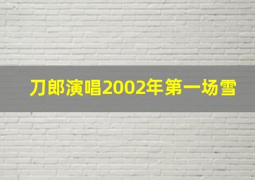 刀郎演唱2002年第一场雪