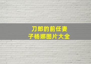 刀郎的前任妻子杨娜图片大全