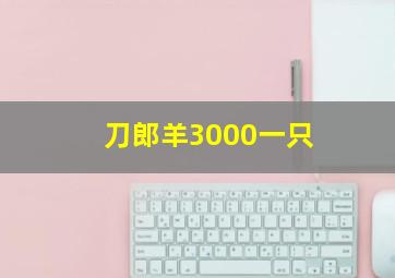 刀郎羊3000一只