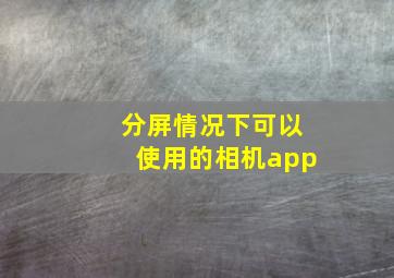 分屏情况下可以使用的相机app