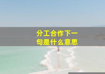 分工合作下一句是什么意思