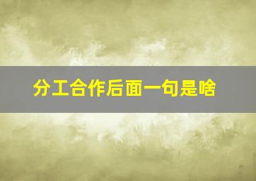 分工合作后面一句是啥