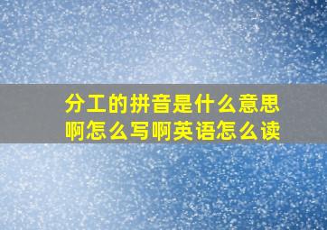 分工的拼音是什么意思啊怎么写啊英语怎么读