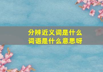 分辨近义词是什么词语是什么意思呀