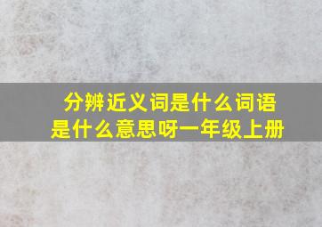 分辨近义词是什么词语是什么意思呀一年级上册