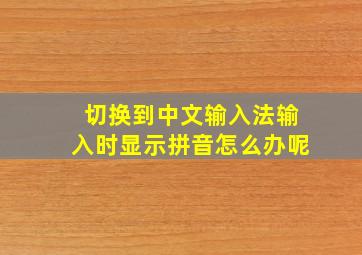 切换到中文输入法输入时显示拼音怎么办呢