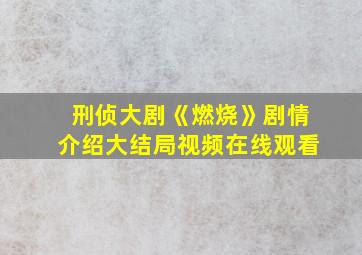 刑侦大剧《燃烧》剧情介绍大结局视频在线观看