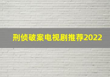 刑侦破案电视剧推荐2022