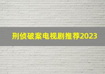 刑侦破案电视剧推荐2023