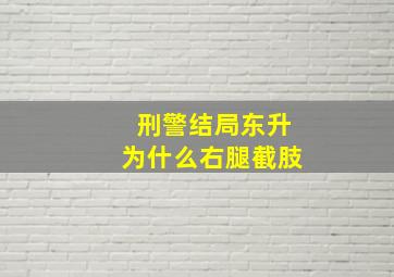 刑警结局东升为什么右腿截肢