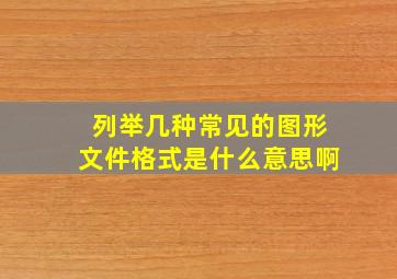 列举几种常见的图形文件格式是什么意思啊