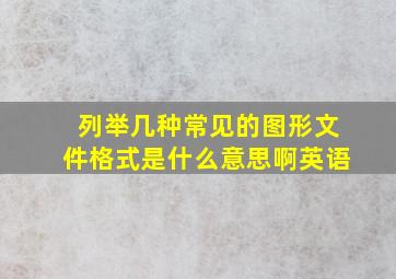 列举几种常见的图形文件格式是什么意思啊英语