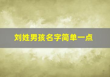 刘姓男孩名字简单一点