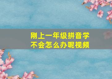 刚上一年级拼音学不会怎么办呢视频