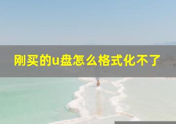 刚买的u盘怎么格式化不了