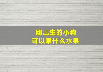 刚出生的小狗可以喂什么水果