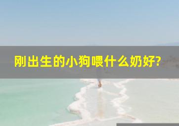 刚出生的小狗喂什么奶好?