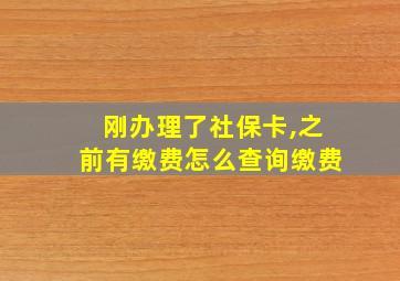 刚办理了社保卡,之前有缴费怎么查询缴费