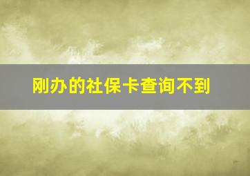 刚办的社保卡查询不到