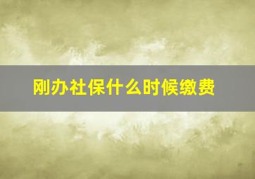 刚办社保什么时候缴费