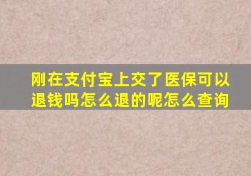 刚在支付宝上交了医保可以退钱吗怎么退的呢怎么查询