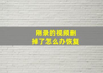 刚录的视频删掉了怎么办恢复