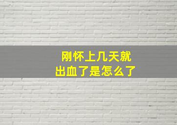 刚怀上几天就出血了是怎么了