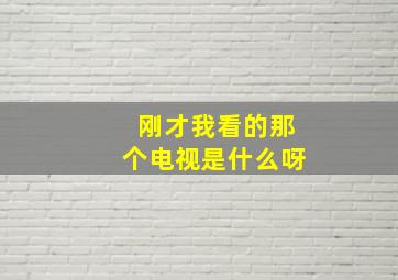 刚才我看的那个电视是什么呀