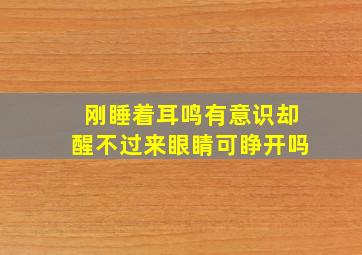 刚睡着耳鸣有意识却醒不过来眼睛可睁开吗