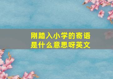 刚踏入小学的寄语是什么意思呀英文