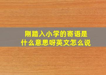 刚踏入小学的寄语是什么意思呀英文怎么说