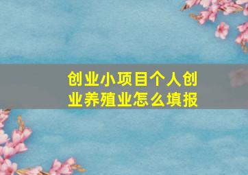 创业小项目个人创业养殖业怎么填报