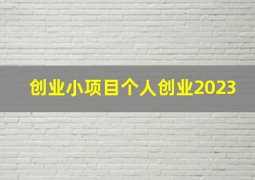 创业小项目个人创业2023