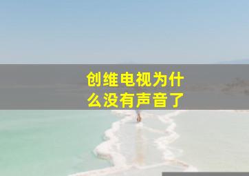 创维电视为什么没有声音了