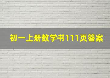 初一上册数学书111页答案