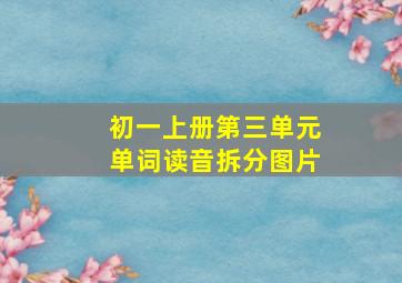 初一上册第三单元单词读音拆分图片