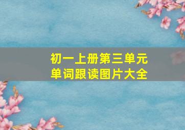 初一上册第三单元单词跟读图片大全