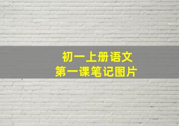 初一上册语文第一课笔记图片