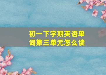 初一下学期英语单词第三单元怎么读