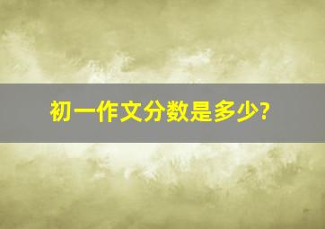 初一作文分数是多少?