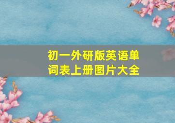 初一外研版英语单词表上册图片大全