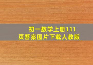 初一数学上册111页答案图片下载人教版