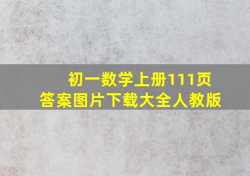 初一数学上册111页答案图片下载大全人教版