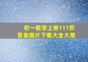 初一数学上册111页答案图片下载大全大图