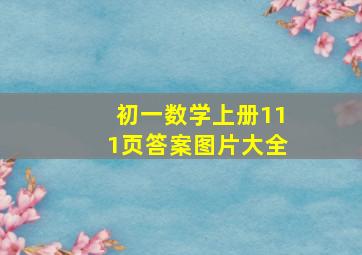 初一数学上册111页答案图片大全