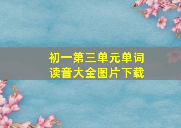 初一第三单元单词读音大全图片下载