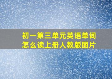 初一第三单元英语单词怎么读上册人教版图片