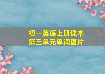 初一英语上册课本第三单元单词图片