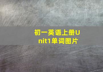 初一英语上册Unit1单词图片