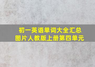 初一英语单词大全汇总图片人教版上册第四单元